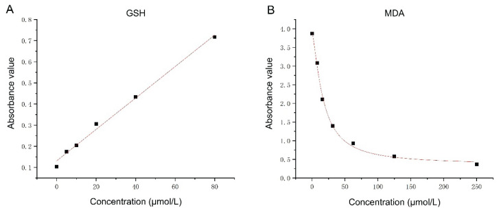 Serum Glutathione and Malondialdehyde Levels as Predictors of Early Neurological Deficits and Short-Term Outcomes in Acute Cerebral Infarction.