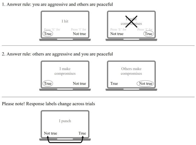 Assessing Implicit Theories in Sexual Offending Using Indirect Measures: Feasibility, Reliability, and Incremental Validity.