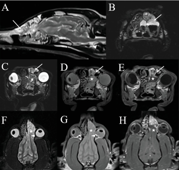 Computed Tomographic and Magnetic Resonance Imaging Diagnosis of Concurrent Sinonasal Aspergillosis and Meningoencephalocele in a Dog.