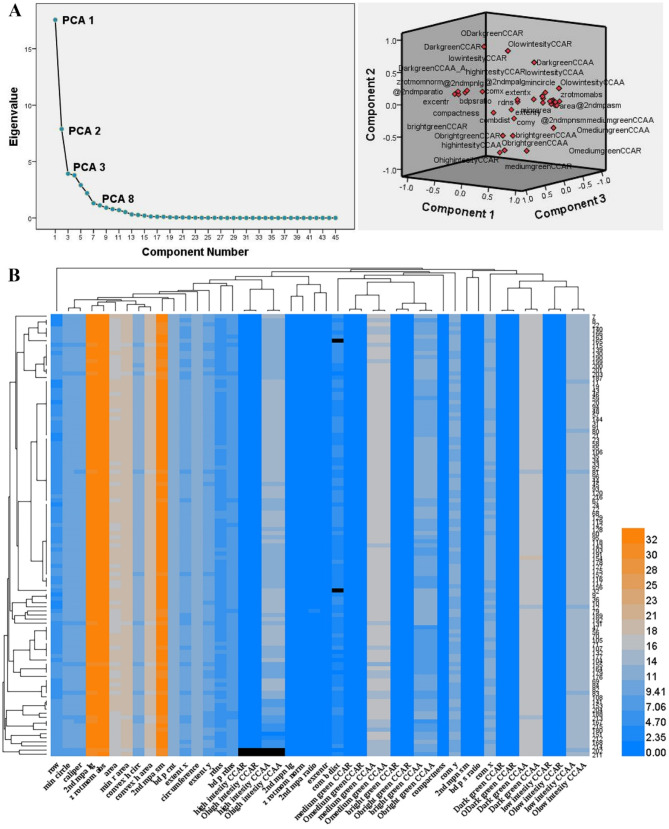 Advancing radiation-induced mutant screening through high-throughput technology: a preliminary evaluation of mutant screening in Arabidopsis thaliana.