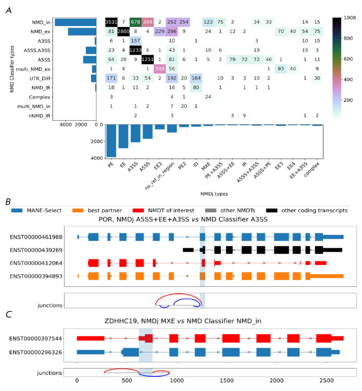 Classification and Quantification of Unproductive Splicing Events.