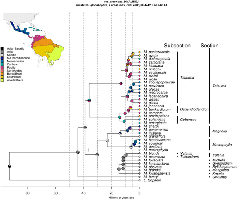 There and back again: historical biogeography of neotropical magnolias based on high-throughput sequencing.