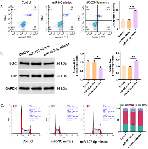 miR-627-5p inhibits malignant progression of cervical cancer by targeting ANGPTL4.