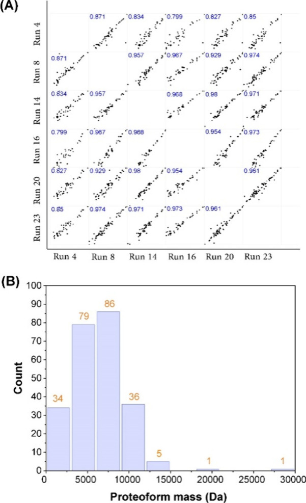 Top-Down Proteomic Profiling of Protein Corona by High-Throughput Capillary Isoelectric Focusing-Mass Spectrometry.