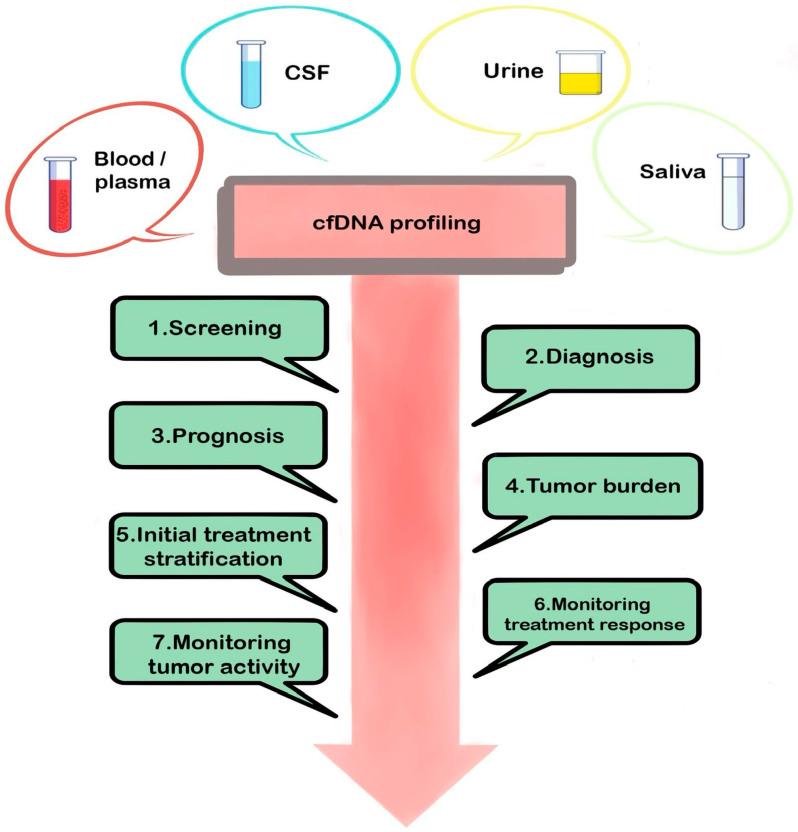 Liquid Biopsy as a Diagnostic and Monitoring Tool in Glioblastoma.