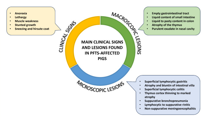 Periweaning failure to thrive syndrome (PFTS): A growing concern in swine health.