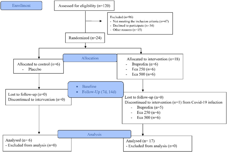 Efficacy of Centella asiatica on mitigating temporomandibular pain and improving functionality: a randomized, double blind, pilot clinical trial.