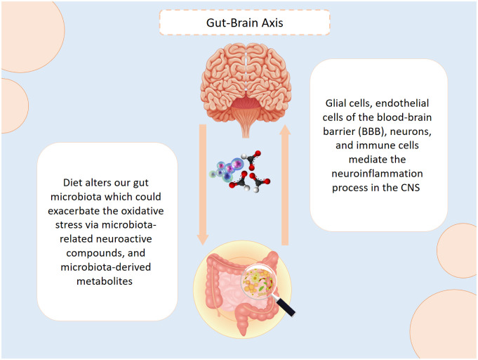 A review on recent advances in Alzheimer's disease: The role of synaptic plasticity.