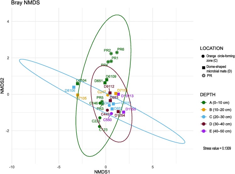 Running against the clock: exploring microbial diversity in an extremely endangered microbial oasis in the Chihuahuan Desert.