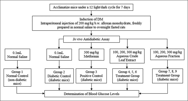 Determination of Toxicity and Hypoglycemic Effect in Alloxan-induced Diabetic Mice of <i>Manihot esculenta</i> Crantz (Fam. Euphorbiaceae) Aqueous Crude Leaf Extract and its Fractions.