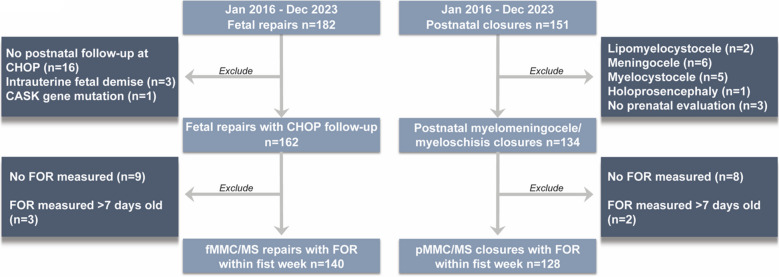 Detailed analysis of hydrocephalus patterns and associated variables in patients after open fetal repair and postnatal myelomeningocele/myeloschisis closure.