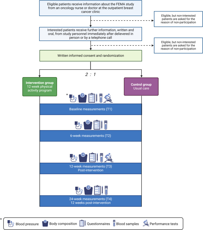 Feasibility of an exercise program in endocrine-treated metastatic breast cancer patients with overweight: protocol for the FEMA study.