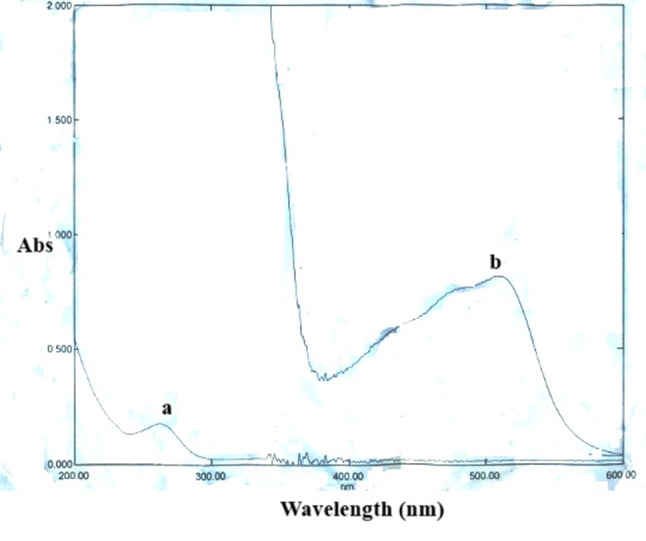 Development and validation of simple colorimetric methods for assessing norfloxacin in pure form, in pharmaceutical products and in biological material.
