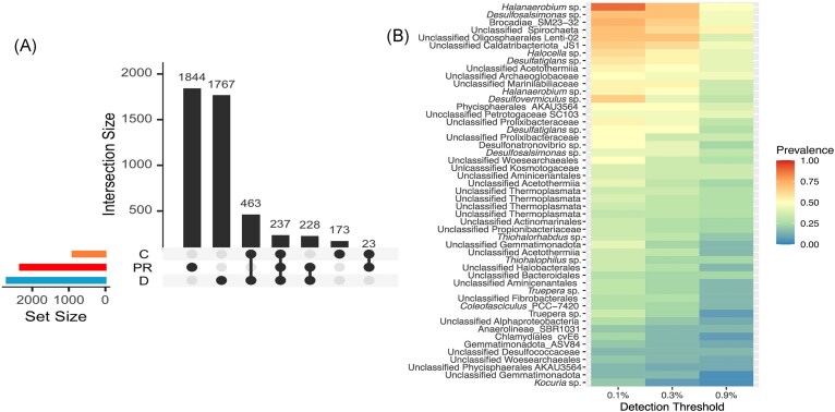 Running against the clock: exploring microbial diversity in an extremely endangered microbial oasis in the Chihuahuan Desert.