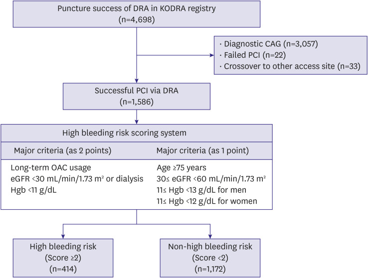 Feasibility of Distal Radial Access in High Bleeding Risk Patients Who Underwent Percutaneous Coronary Intervention.