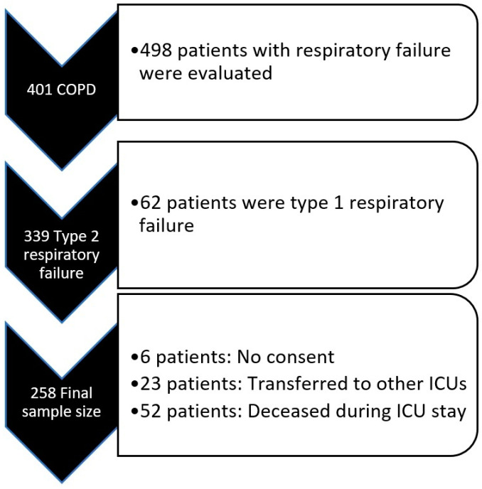 A Retrospective Evaluation of the Cardiometabolic Profile of Patients with COPD-Related Type 2 Respiratory Failure in the Intensive Care Unit.