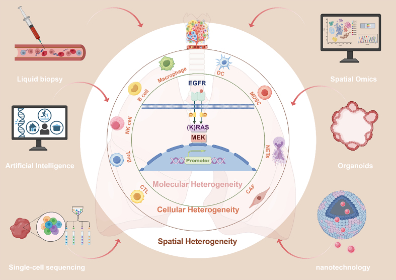 Tumor microenvironment-driven resistance to immunotherapy in non-small cell lung cancer: strategies for Cold-to-Hot tumor transformation.