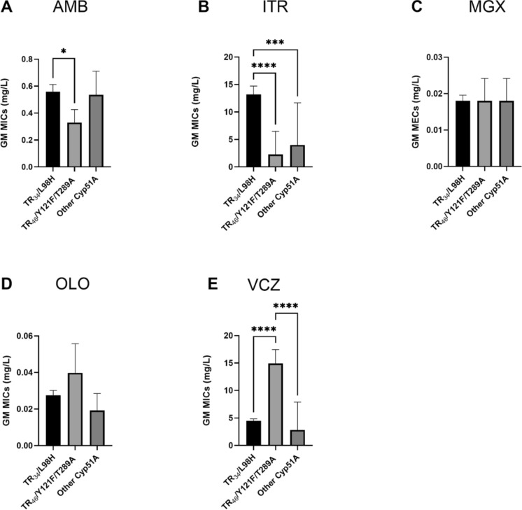 Trends of Azole-Resistant Aspergillus Fumigatus Susceptibility Over 12 Years from a German ECMM Excellence Center.