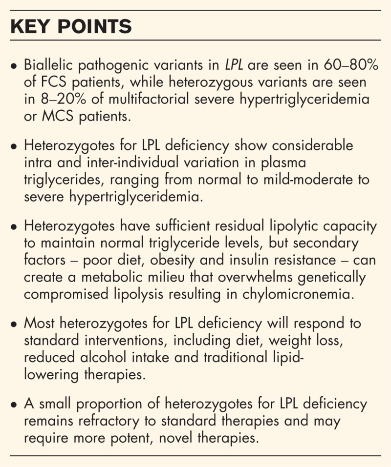 What is the phenotype of heterozygous lipoprotein lipase deficiency?