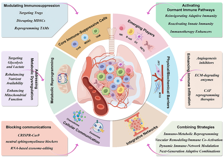 Tumor microenvironment-driven resistance to immunotherapy in non-small cell lung cancer: strategies for Cold-to-Hot tumor transformation.