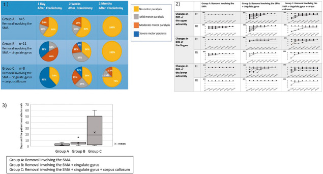Severity of Clinical Symptoms of Supplementary Motor Area Syndrome Correlates with the Extent of Tumor Resection in the Brain.