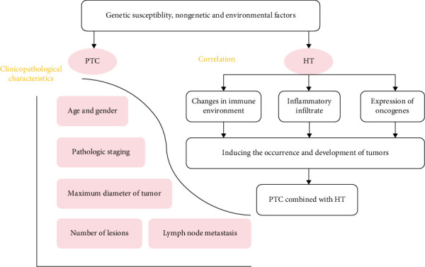 Research Progress on the Immunological Correlation Between Papillary Thyroid Carcinoma and Hashimoto's Thyroiditis.