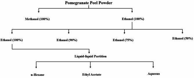 Integrated evaluation of antifungal activity of pomegranate peel polyphenols against a diverse range of postharvest fruit pathogens.