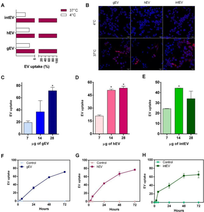 Host-Pathogen Cellular Communication: The Role of Dynamin, Clathrin, and Macropinocytosis in the Uptake of Giardia-Derived Extracellular Vesicles.
