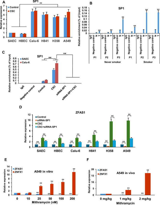 Repression of ZNFX1 by LncRNA ZFAS1 mediates tobacco-induced pulmonary carcinogenesis.
