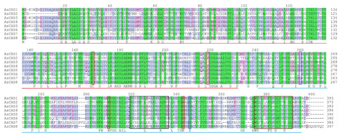Identification of Chalcone Synthase Genes from Garlic (Allium sativum L.) and Their Expression Levels in Response to Stress Factors.