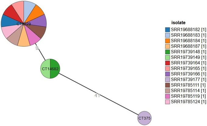 Genomic analysis of <i>Listeria monocytogenes</i> strains from dairy products in Ethiopia.