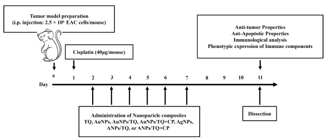 Impacts of loading thymoquinone to gold or silver nanoparticles on the efficacy of anti-tumor treatments in breast cancer with or without chemotherapeutic cisplatin.