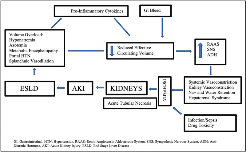 Role of continuous renal replacement therapy in management of the preliver transplant patient.