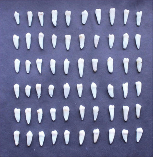 Abstract Image