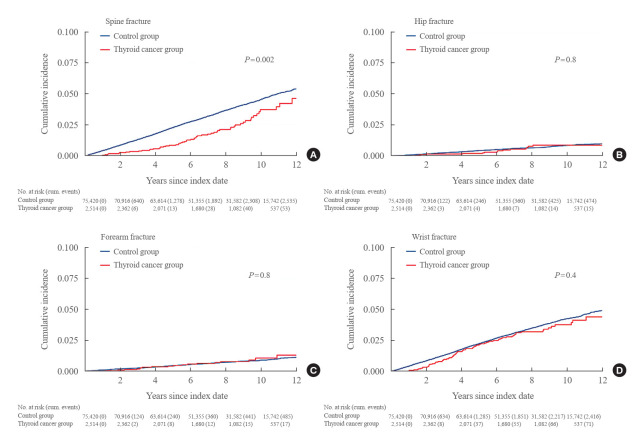Risk of Osteoporotic Fractures among Patients with Thyroid Cancer: A Nationwide Population-Based Cohort Study.