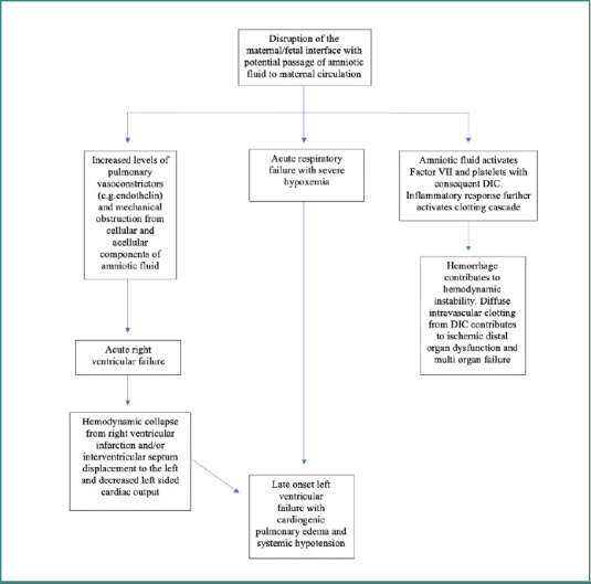 Risk factors and predisposing conditions for amniotic fluid embolism: a comprehensive review.