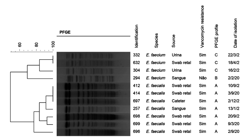 Vancomycin-resistant Enterococcus infections in a hospital in Salvador, Bahia: a descriptive study, 2021-2023.
