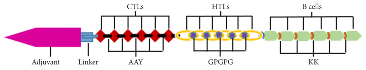 Developing cancer vaccine with carcinoembryonic antigen and IGF-1R as immunostimulants using immunoinformatics approach.