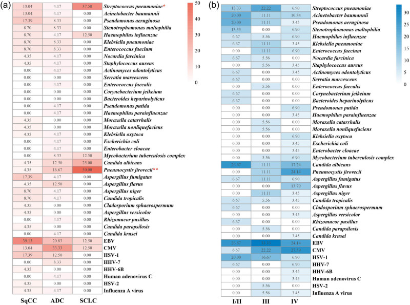 Pathogen surveillance and risk factors for pulmonary infection in patients with lung cancer: A retrospective single-center study.