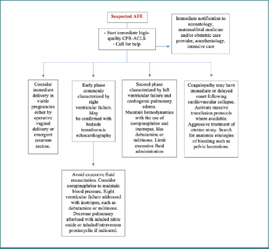 Risk factors and predisposing conditions for amniotic fluid embolism: a comprehensive review.