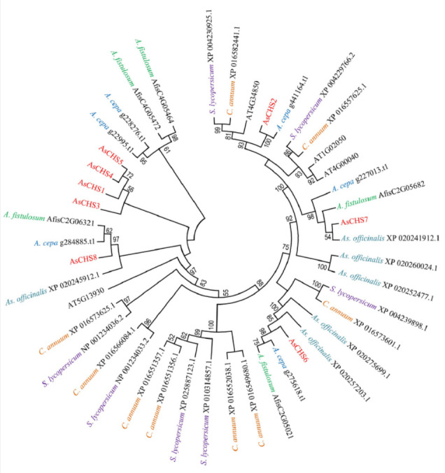 Identification of Chalcone Synthase Genes from Garlic (Allium sativum L.) and Their Expression Levels in Response to Stress Factors.