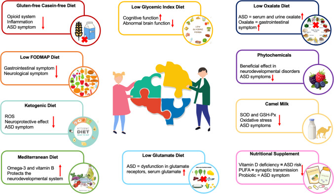 Nutritional Approaches in Autism Spectrum Disorder: A Scoping Review.
