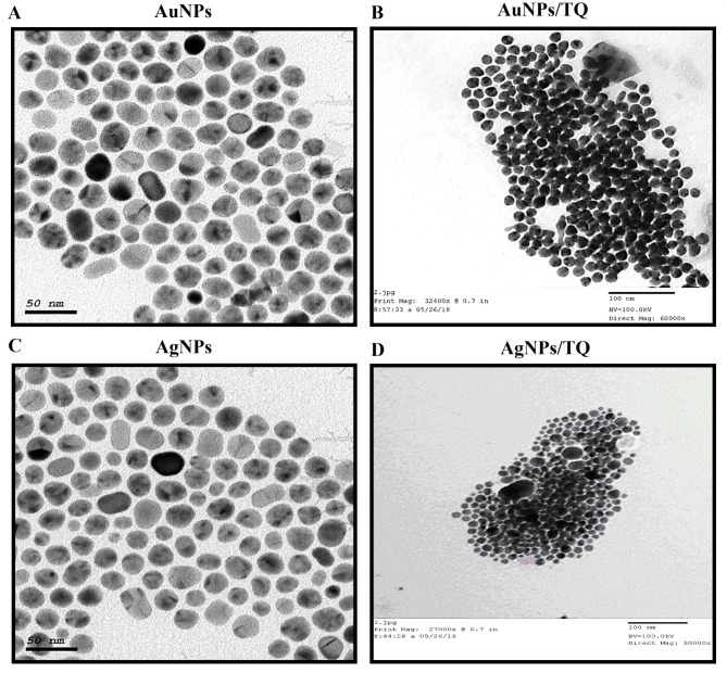 Impacts of loading thymoquinone to gold or silver nanoparticles on the efficacy of anti-tumor treatments in breast cancer with or without chemotherapeutic cisplatin.