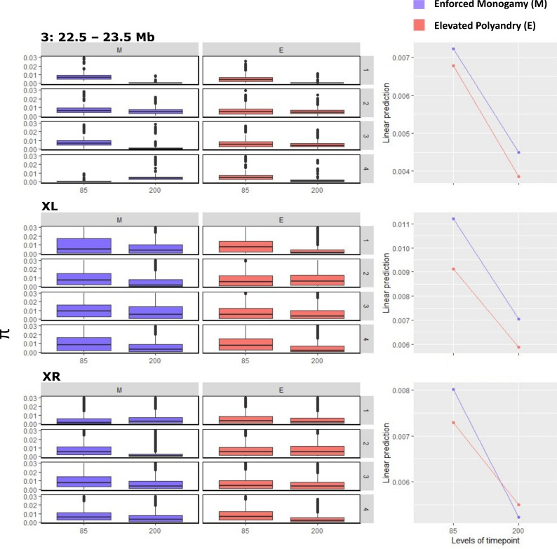 Sexual selection, genomic evolution and population fitness in <i>Drosophila pseudoobscura</i>.