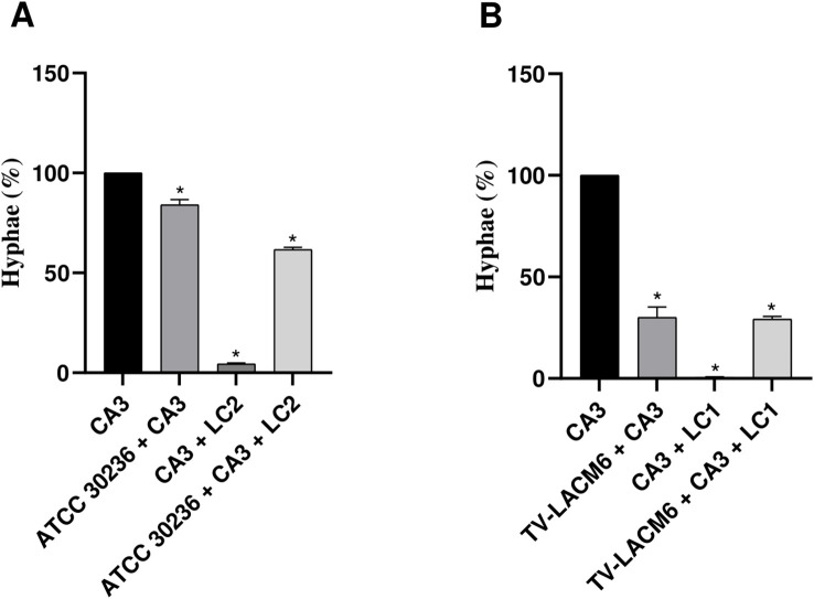 <i>In vitro</i> co-culture model of <i>Trichomonas vaginalis</i>, <i>Candida albicans</i>, and <i>Lactobacillus crispatus</i>: a system for assessing antimicrobial activity and microorganism interactions in vaginitis.