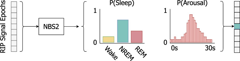 Detecting arousals and sleep from respiratory inductance plethysmography.