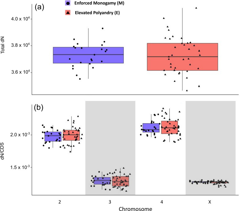 Sexual selection, genomic evolution and population fitness in <i>Drosophila pseudoobscura</i>.