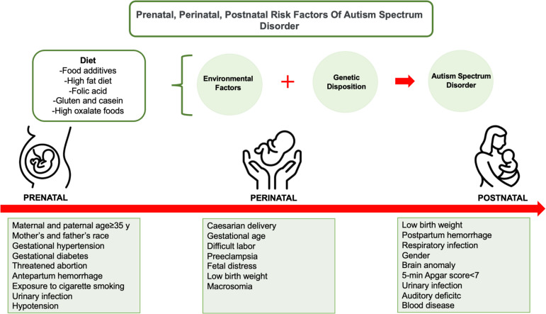 Nutritional Approaches in Autism Spectrum Disorder: A Scoping Review.