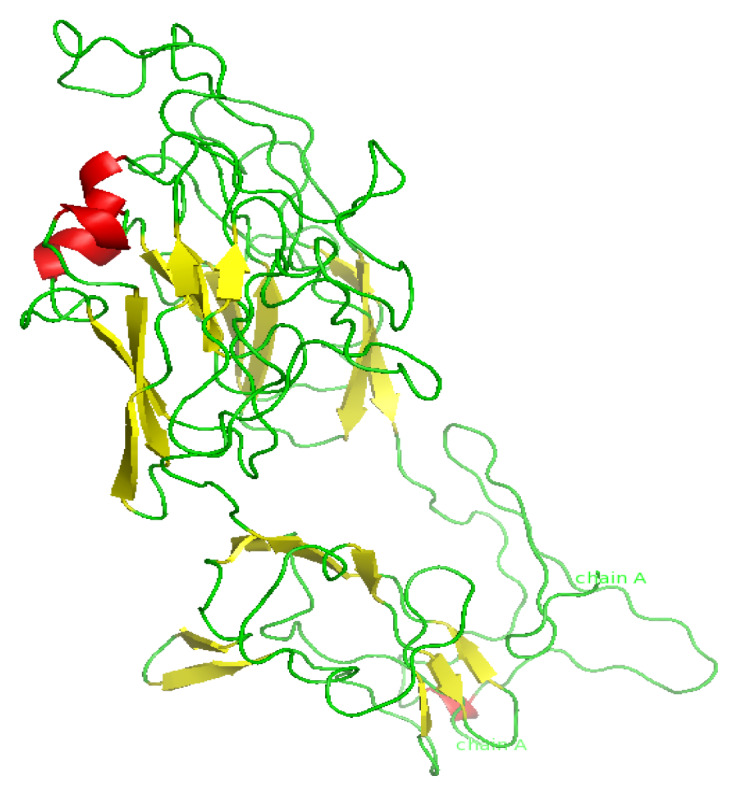 Developing cancer vaccine with carcinoembryonic antigen and IGF-1R as immunostimulants using immunoinformatics approach.