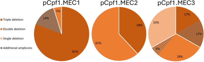 A CRISPR Cas12a/Cpf1 strategy to facilitate robust multiplex gene editing in Aspergillus Niger.